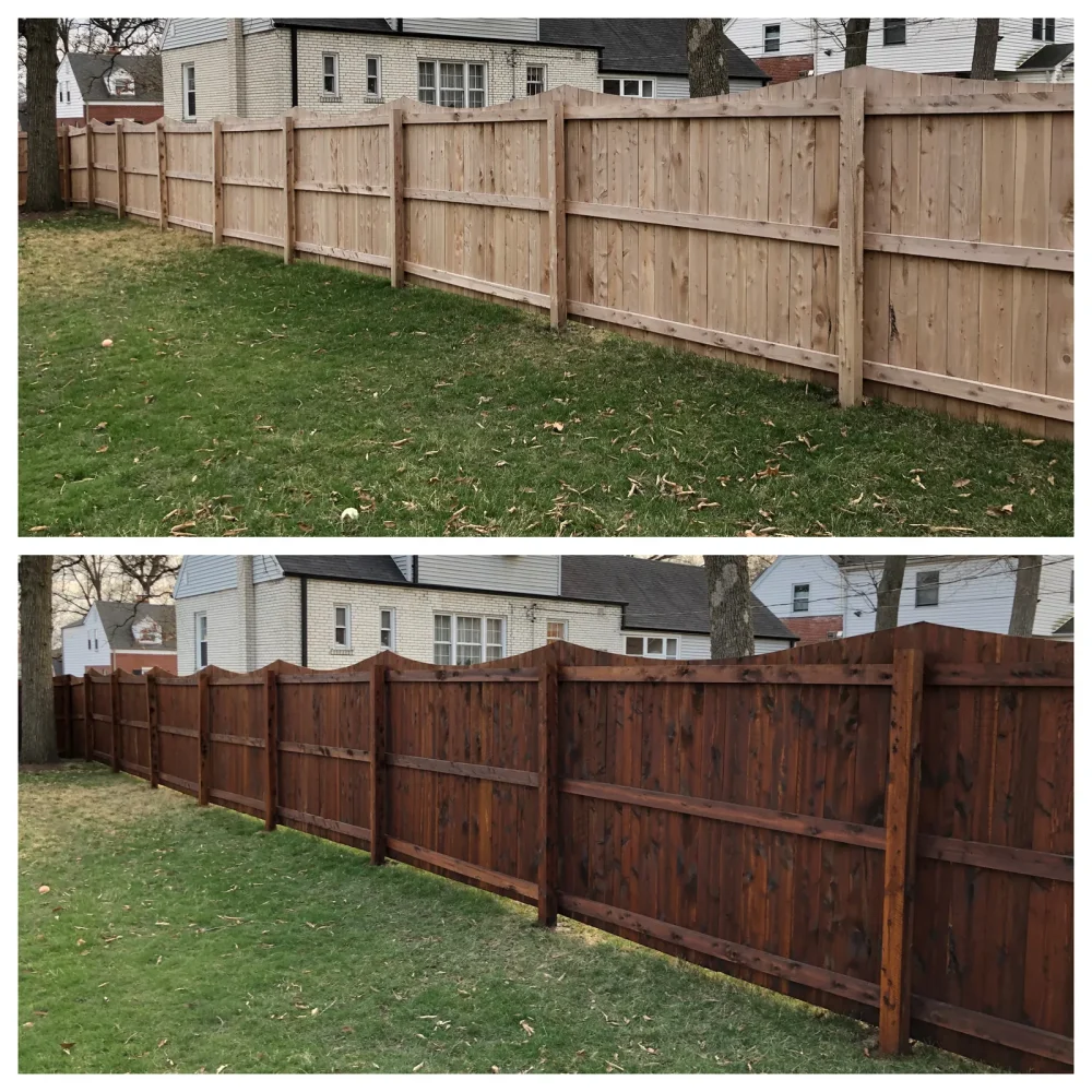 Before and after views of an Everseal fence staining project